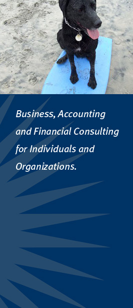 Black Dog Accounting
